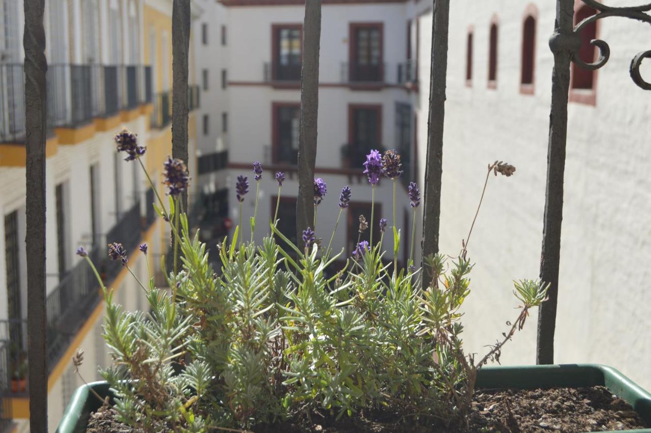 Isg Apartments Precioso Atico Con Terraza Privada En El Centro Севилья Экстерьер фото